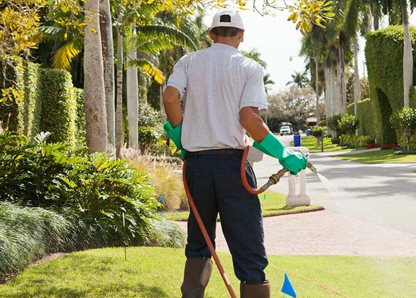 About Belvue KS Pest Control